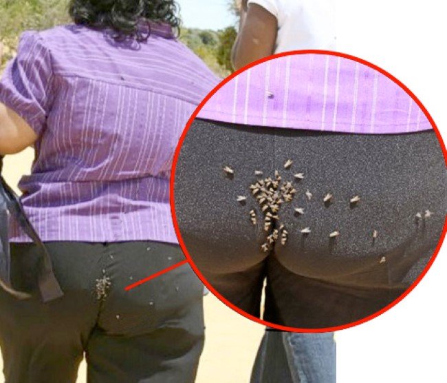in the ass with condoms In the ass with condoms